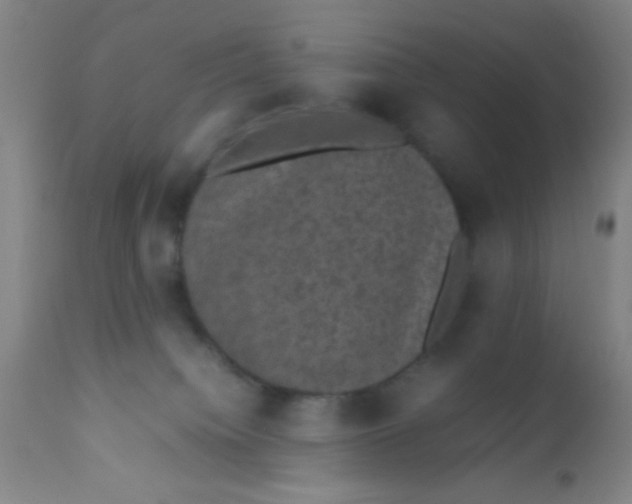 X0000110710084200907022033