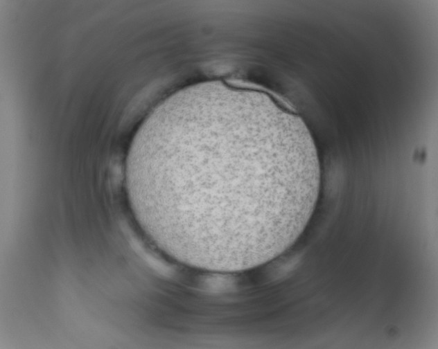 X0000110710085200907022033