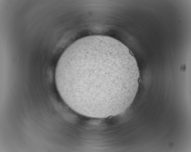 X0000110710086200907022033