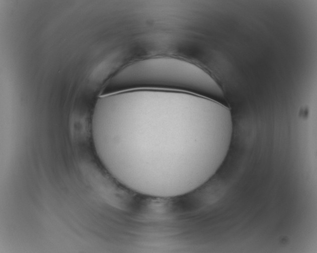 X0000110710088200907022033