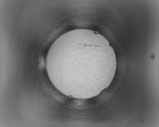 X0000110710089200907022033