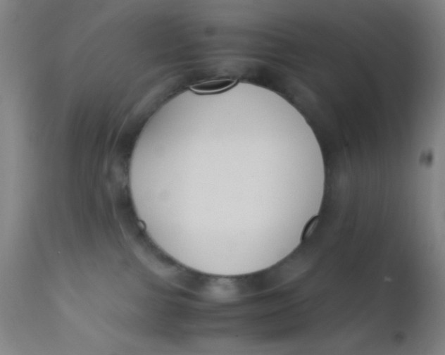 X0000110710091200907022033