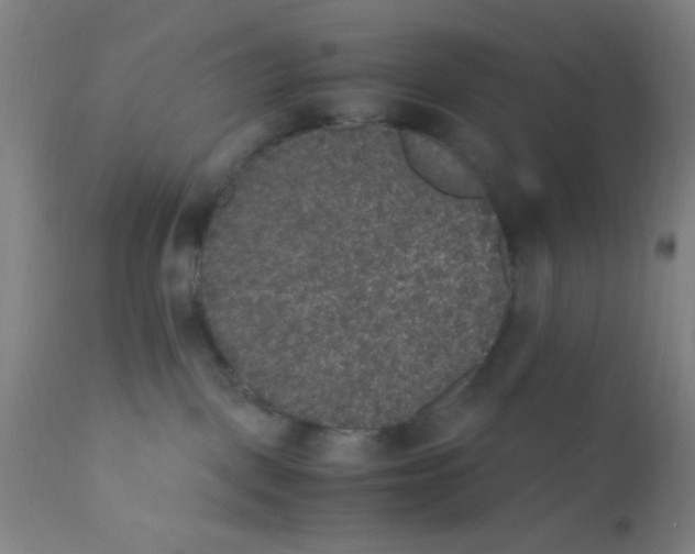 X0000110710093200907022033