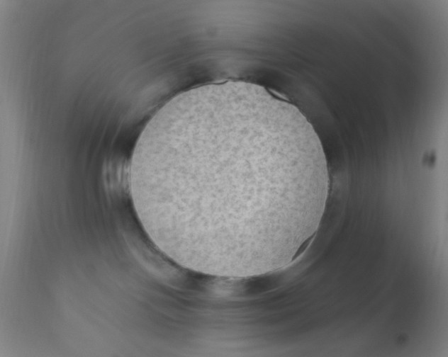 X0000110710094200907022033