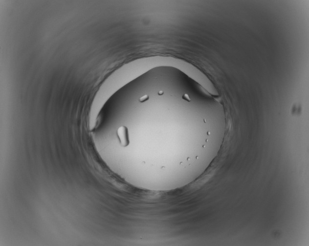 X0000110710096200907022033