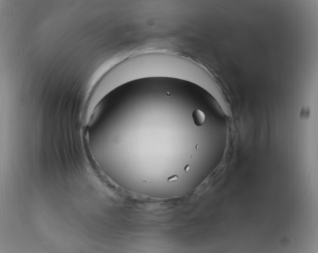 X0000110710100200907022032