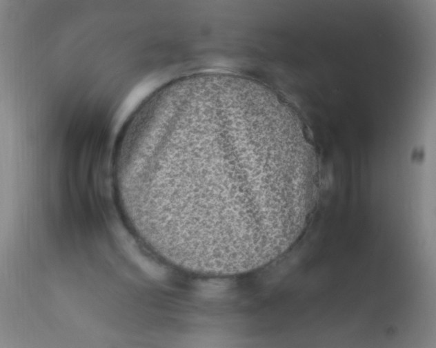 X0000110710102200907022032