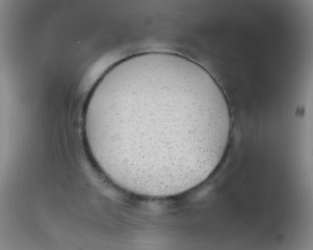 X0000110710103200907022032