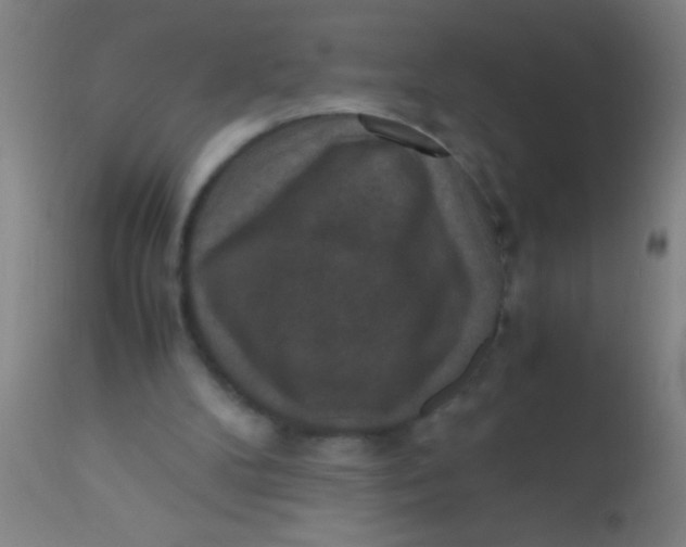 X0000110710104200907022032