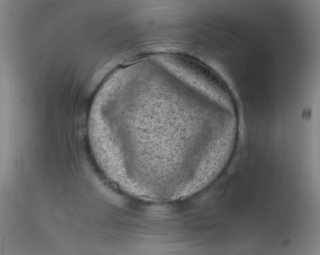 X0000110710105200907022032