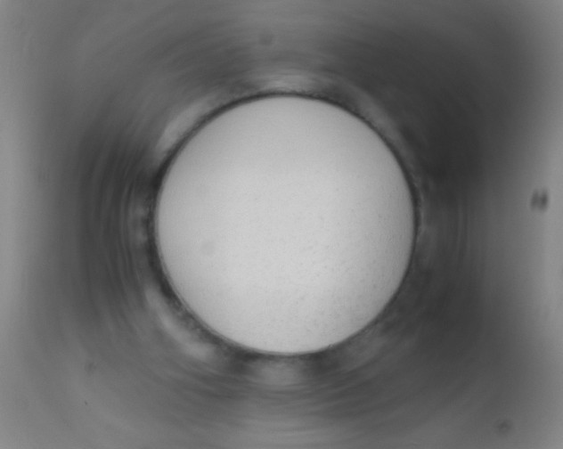 X0000110710106200907022032