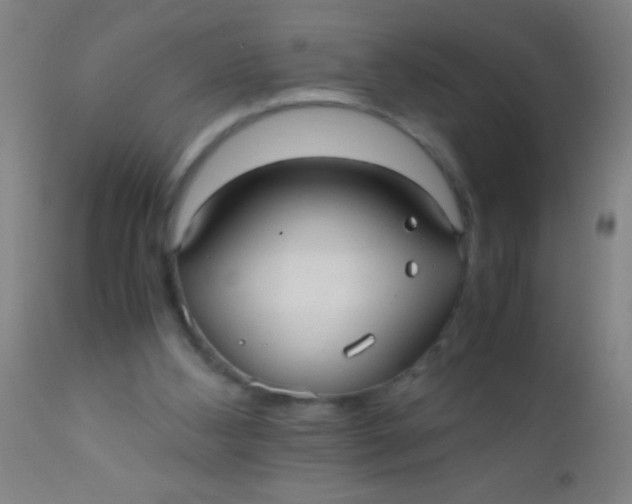 X0000110710108200907022032