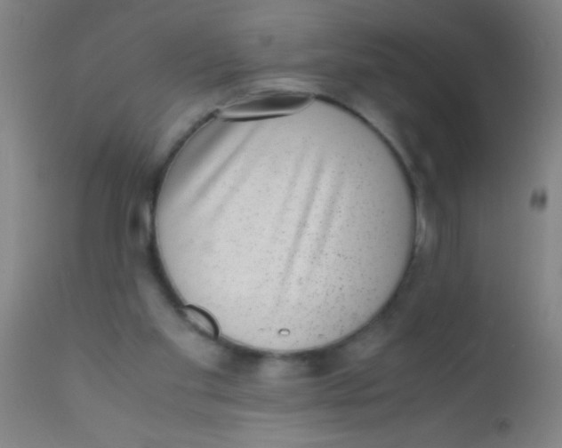 X0000110710109200907022032