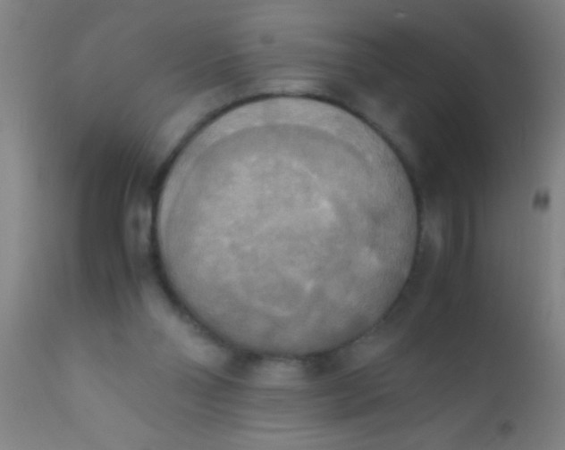 X0000110710110200907022032