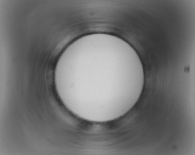 X0000110710111200907022032