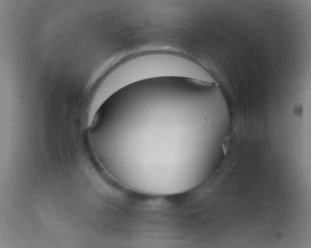 X0000110710112200907022032