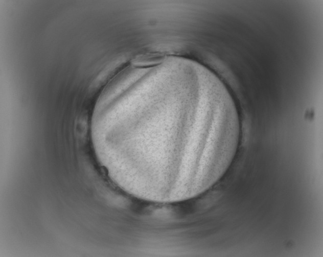 X0000110710113200907022032