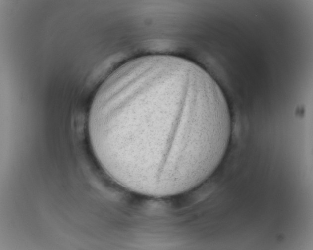 X0000110710115200907022032