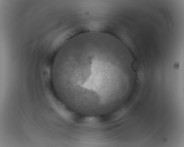 X0000110710117200907022032