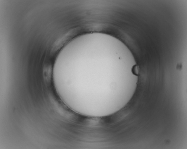 X0000110710118200907022032