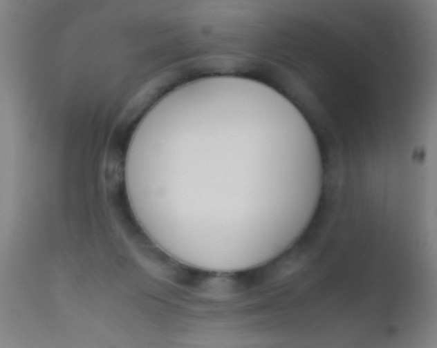 X0000110710119200907022032