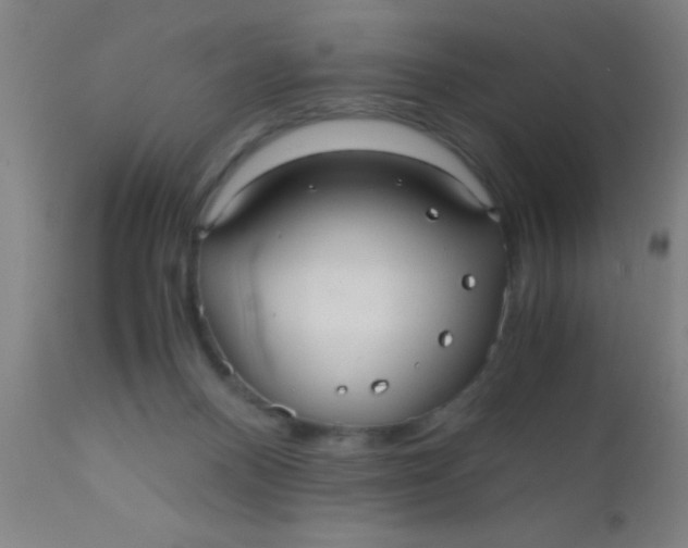 X0000110710120200907022032