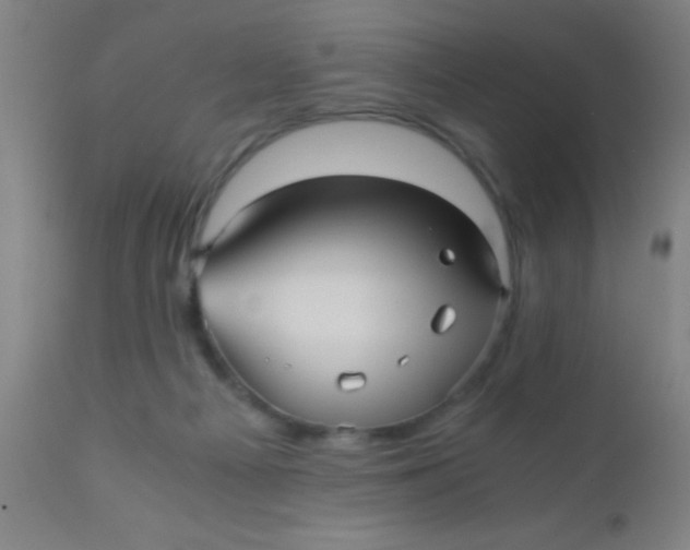 X0000110710121200907022032