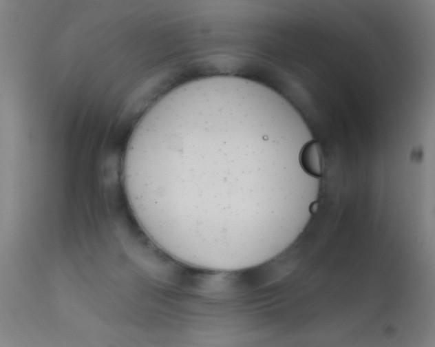 X0000110710122200907022032