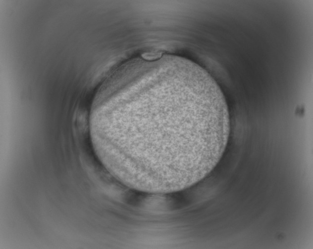 X0000110710123200907022032