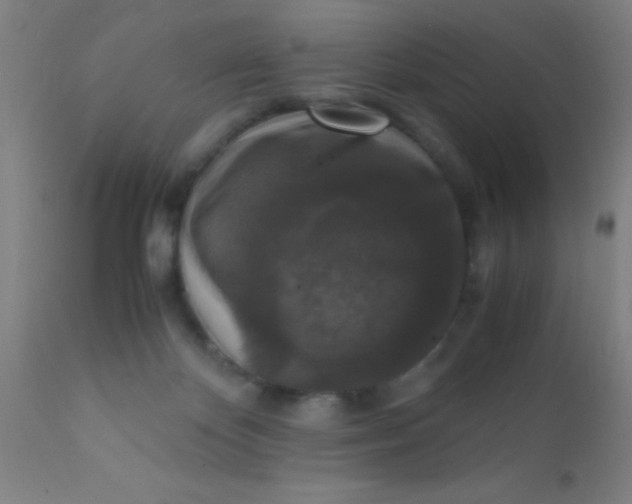 X0000110710124200907022032