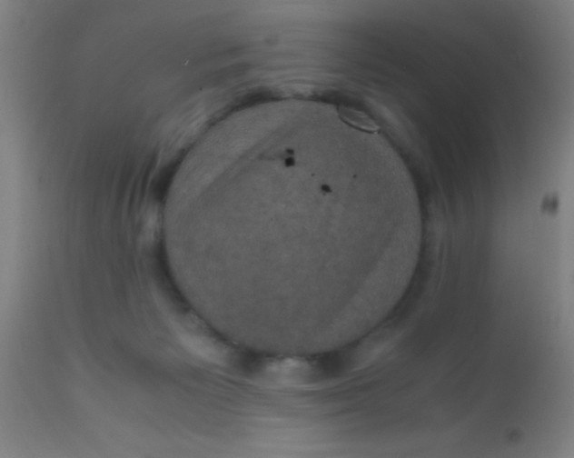 X0000110710125200907022032