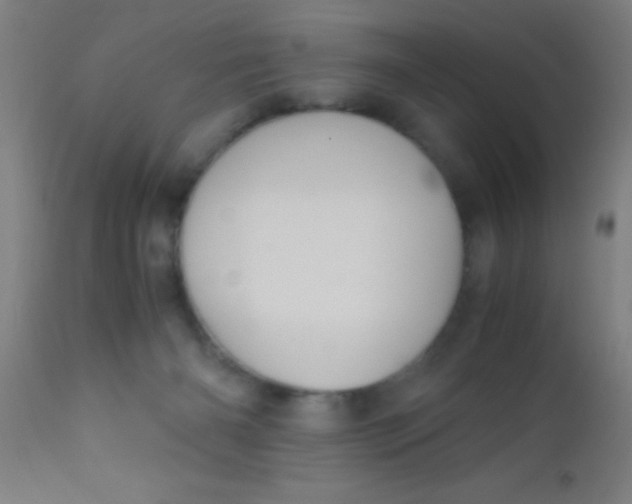 X0000110710126200907022032