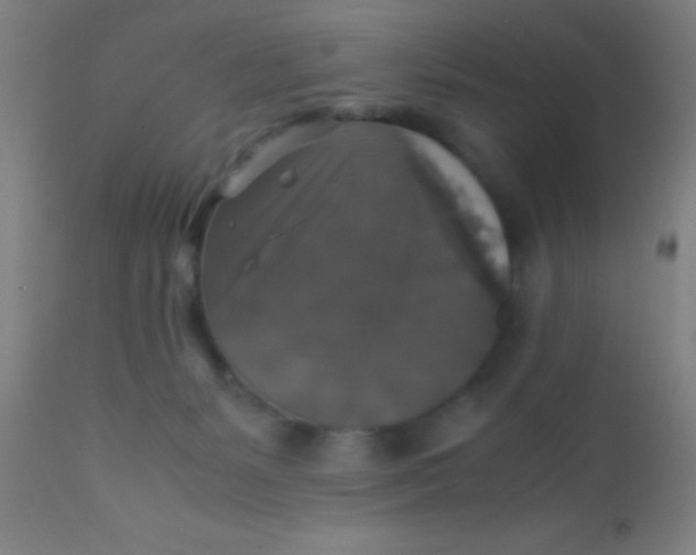 X0000110710127200907022032