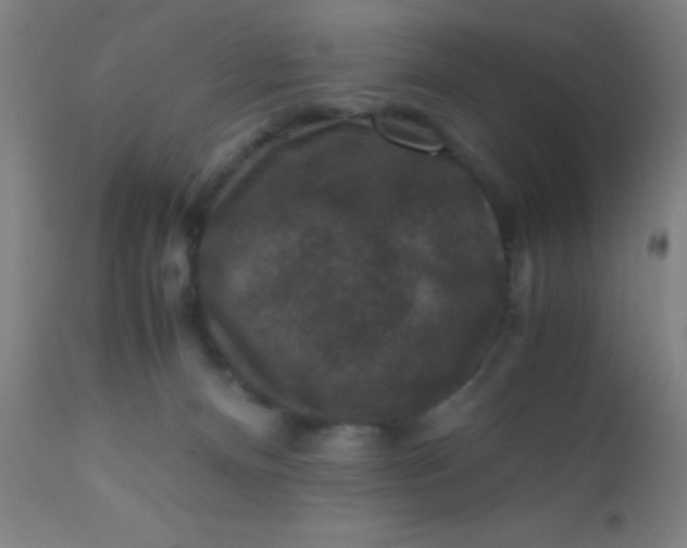 X0000110710128200907022032