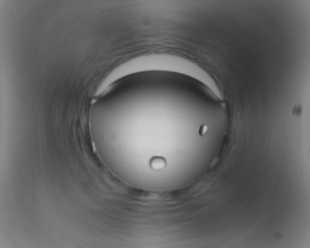 X0000110710129200907022032