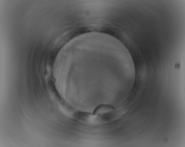 X0000110710130200907022032