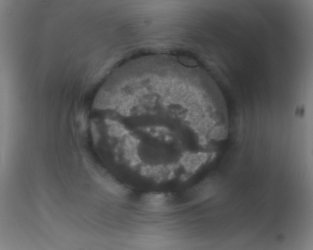 X0000110710131200907022032