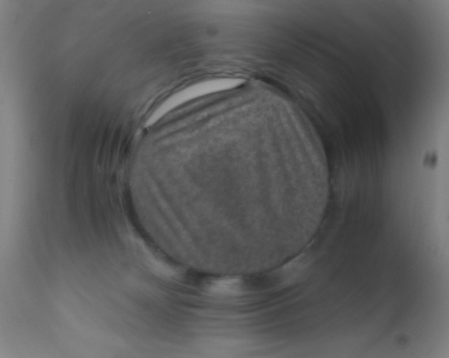 X0000110710132200907022032