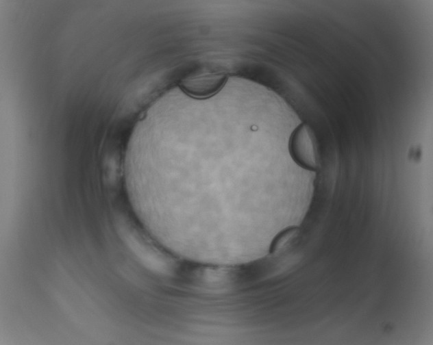 X0000110710134200907022031