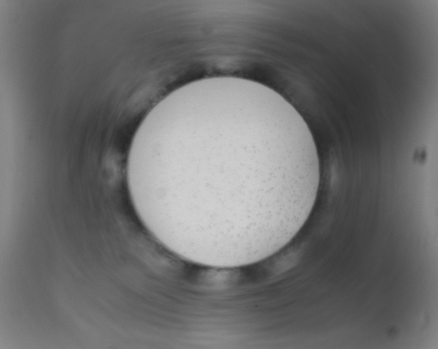 X0000110710135200907022031