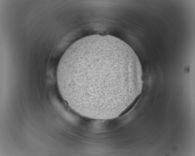 X0000110710136200907022031