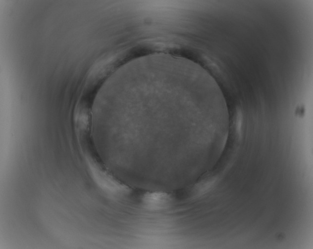 X0000110710137200907022031