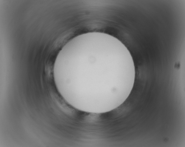 X0000110710138200907022031