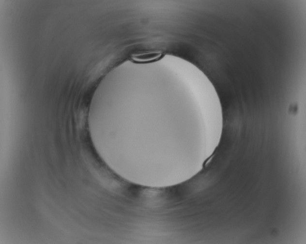 X0000110710139200907022031