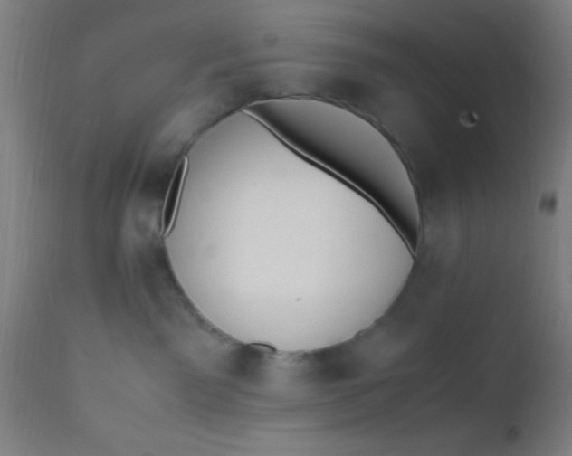 X0000110710141200907022031