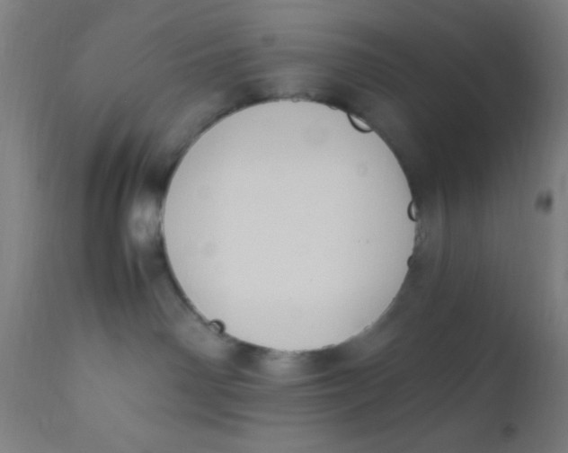 X0000110710142200907022031