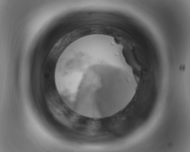 X0000110710143200907022031