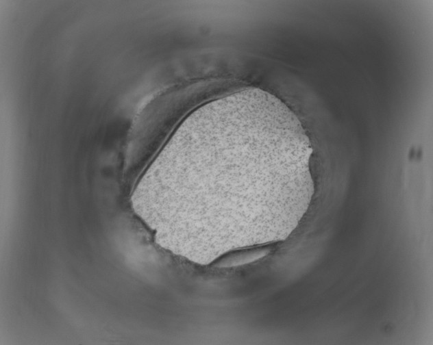 X0000110710144200907022031