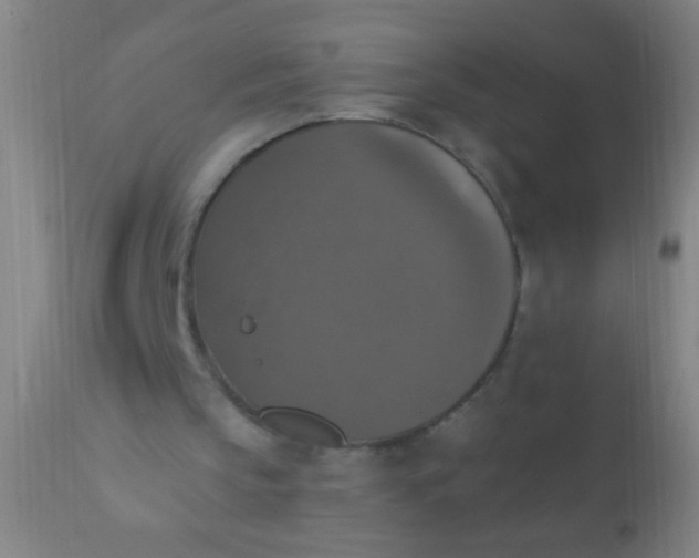 X0000110710145200907022031