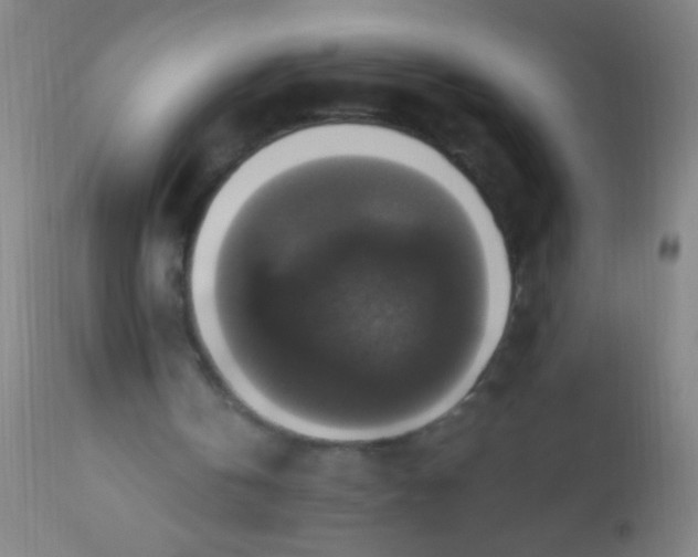 X0000110710146200907022031